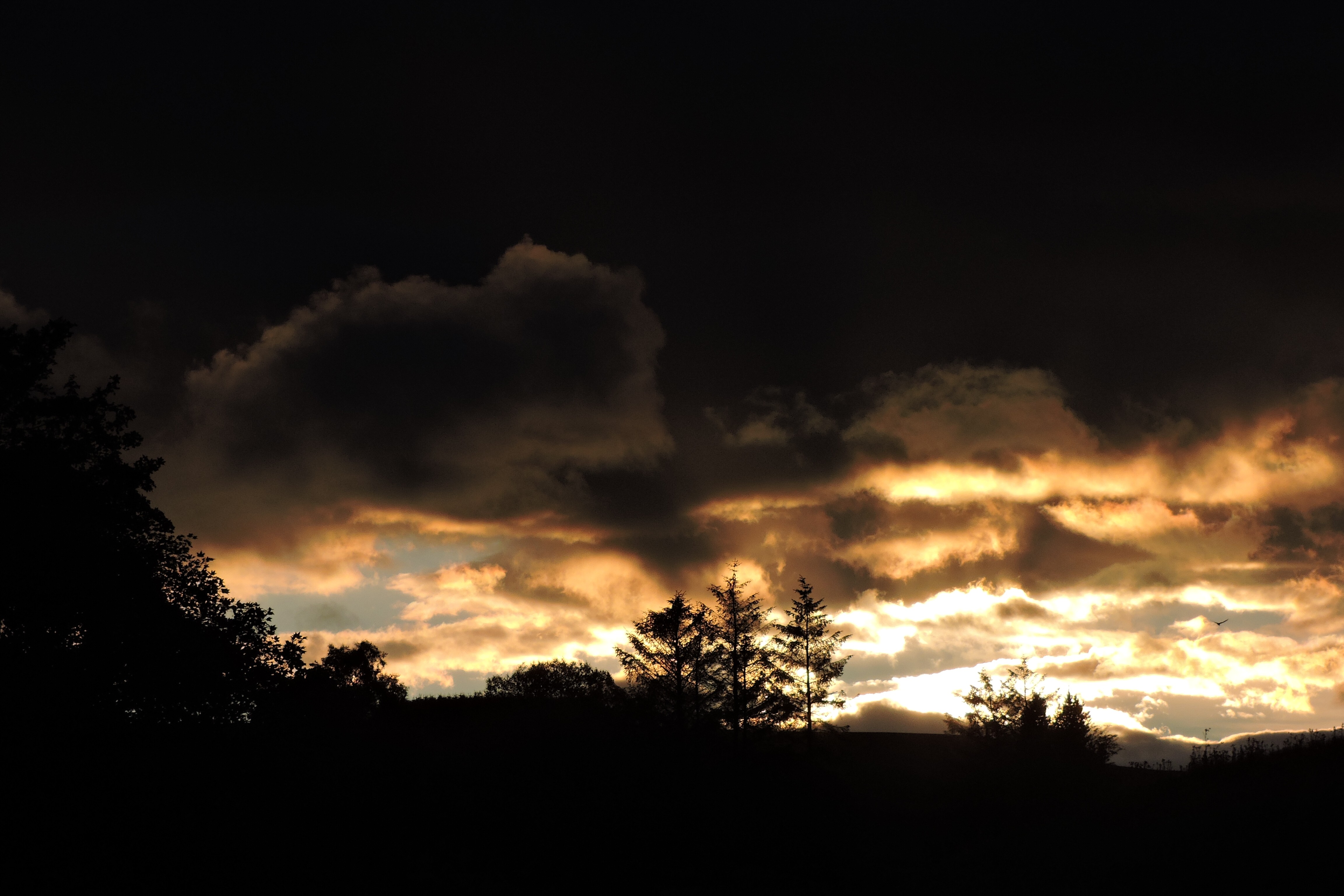 DUSK AT St DAVIDS WELL. Bill Bagley Photography